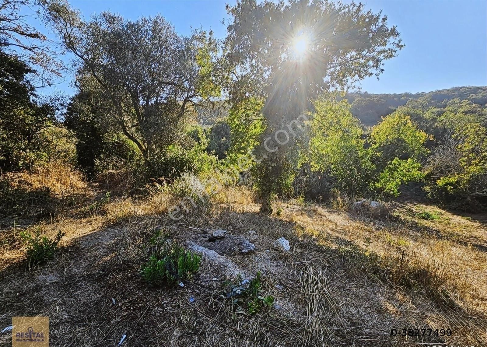 Mudanya Esence De Satılk 1300 M2 Yol Kenarı Bahçe Resital Big De - Görsel 19