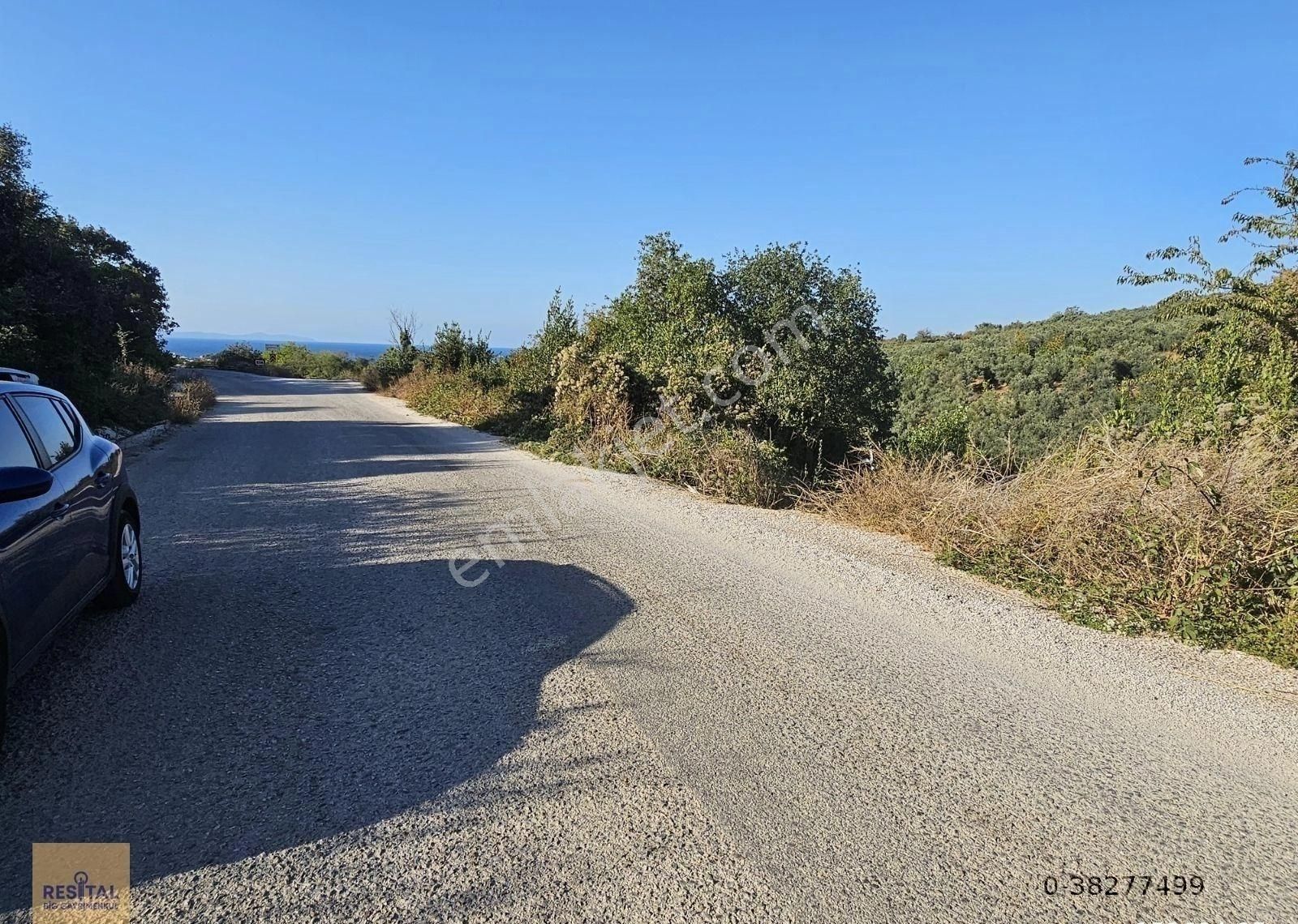 Mudanya Esence De Satılk 1300 M2 Yol Kenarı Bahçe Resital Big De - Görsel 13