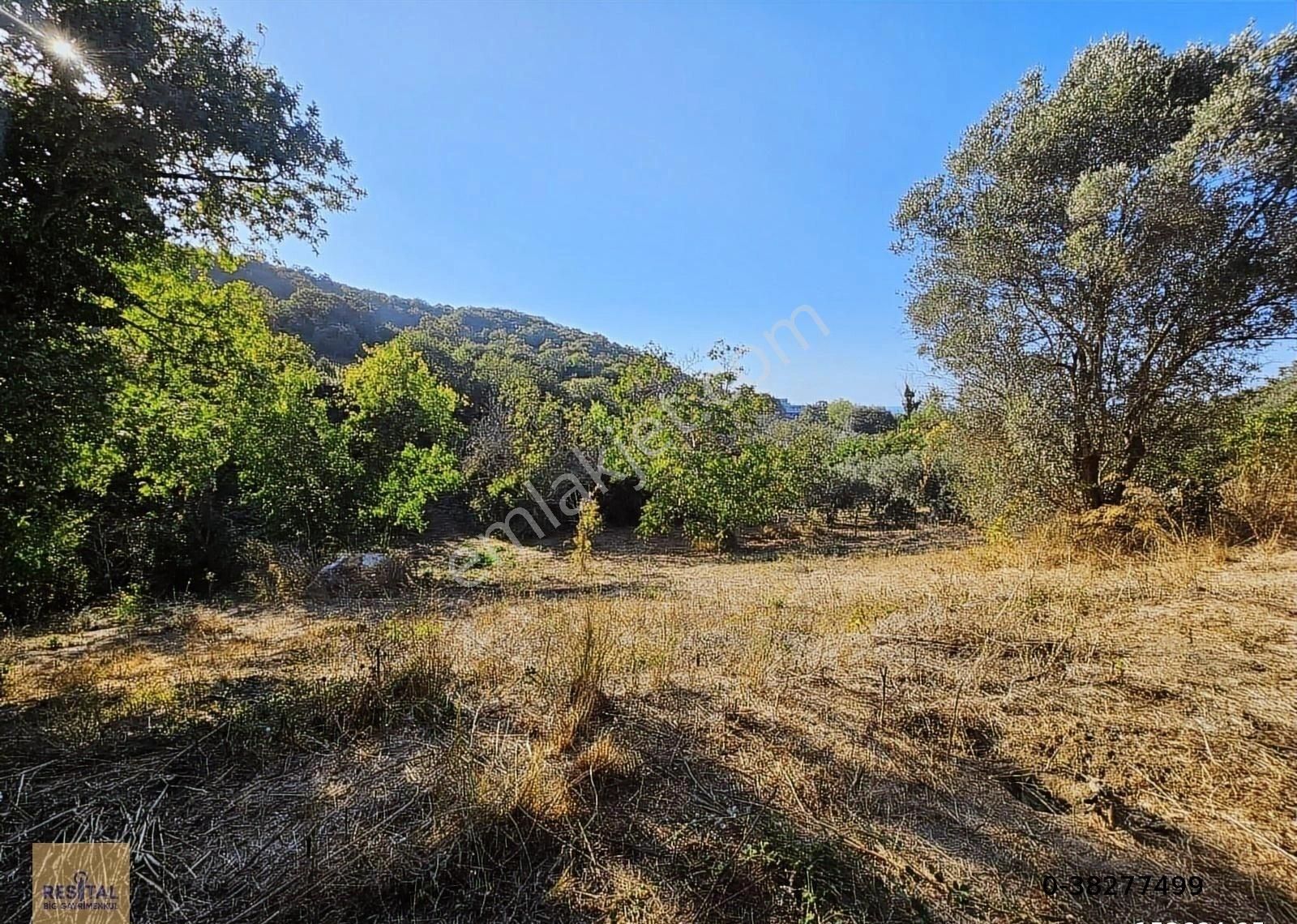 Mudanya Esence De Satılk 1300 M2 Yol Kenarı Bahçe Resital Big De - Görsel 11