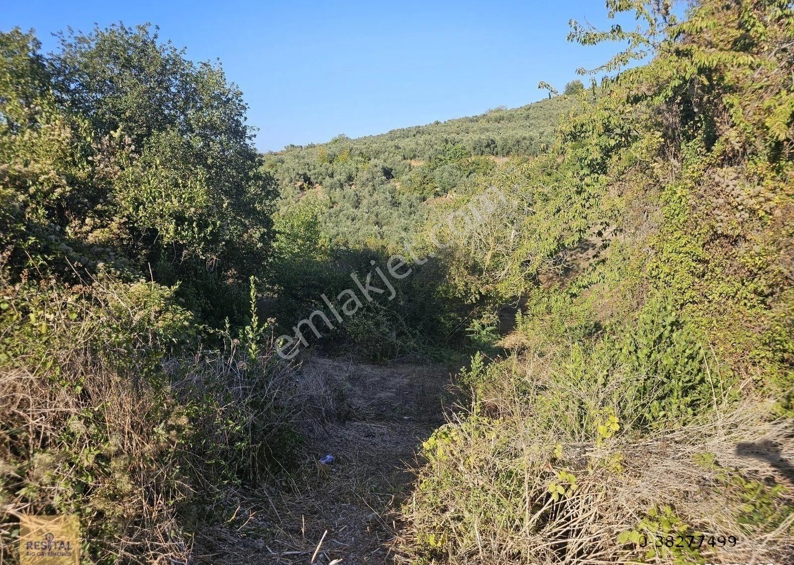Mudanya Esence De Satılk 1300 M2 Yol Kenarı Bahçe Resital Big De - Görsel 23