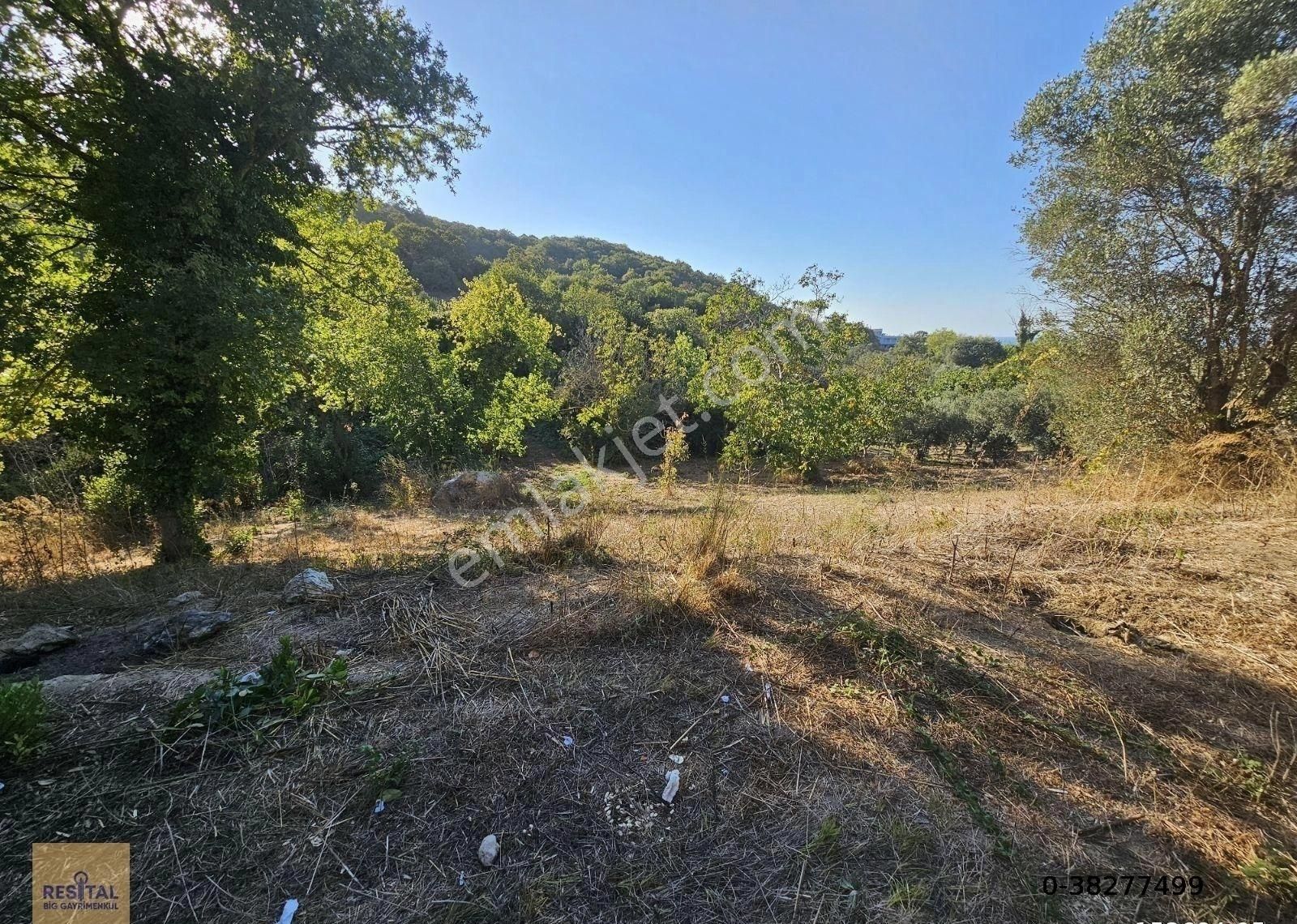 Mudanya Esence De Satılk 1300 M2 Yol Kenarı Bahçe Resital Big De - Görsel 24