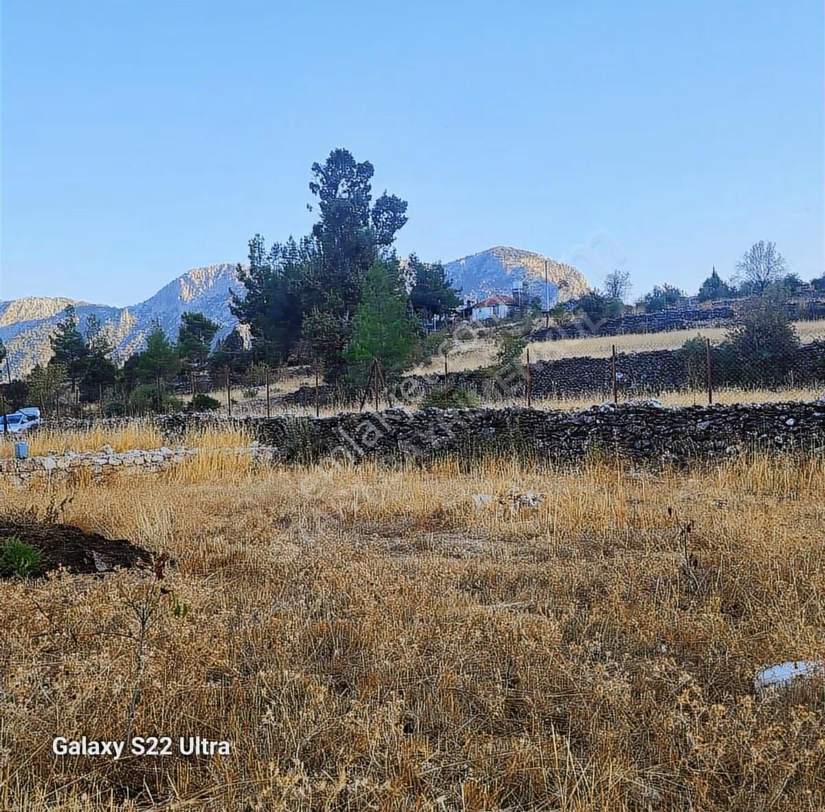 Havadar Konumda Tarla - Görsel 4