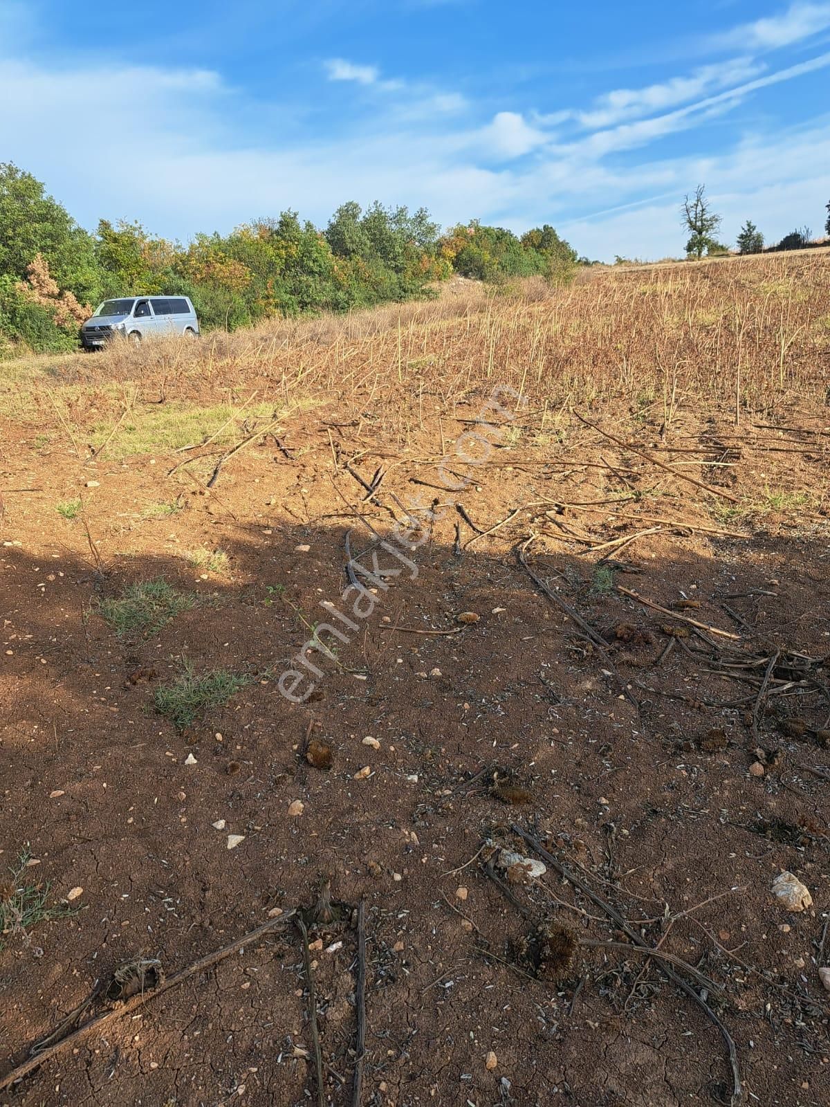 İnegöl Yeniyörük Köyünde Satılık 20.640 M2 Bağ Evi Ruhsatlı - Görsel 2