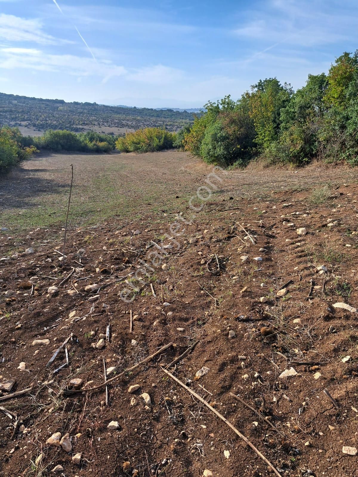 İnegöl Yeniyörük Köyünde Satılık 20.640 M2 Bağ Evi Ruhsatlı - Görsel 4