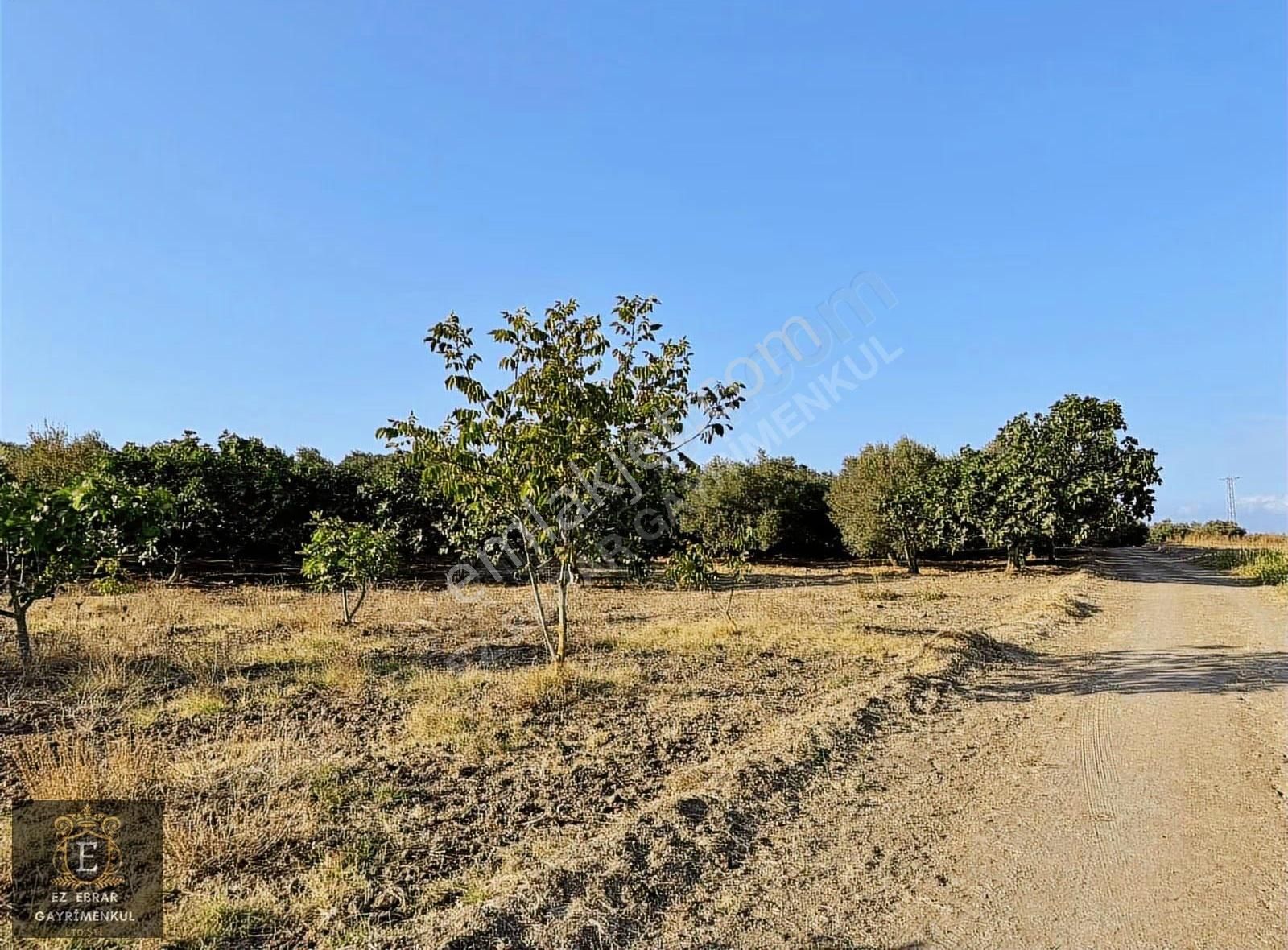 Mudanya Yalıçiftlik'te 3200 M2, Yatırımlık Arazi - Görsel 9