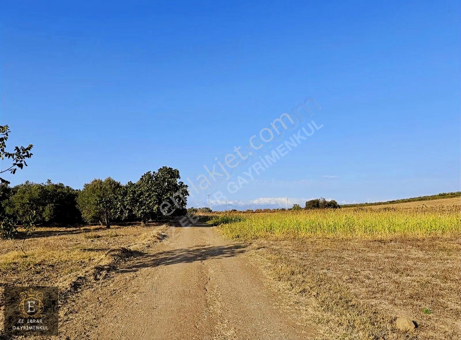 Mudanya Yalıçiftlik'te 3200 M2, Yatırımlık Arazi - Görsel 11