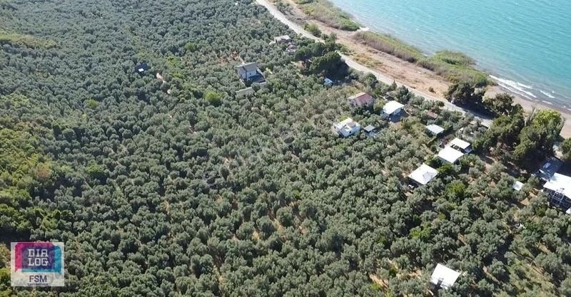 Göle 300 Metre Uzaklıkta! İznik Mustafalı Köyünde 974m2 Zeytinlk - Görsel 12
