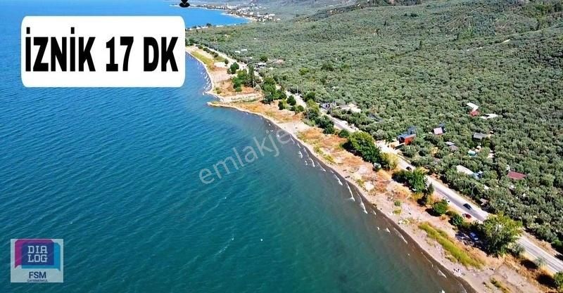 Göle 300 Metre Uzaklıkta! İznik Mustafalı Köyünde 974m2 Zeytinlk - Görsel 2