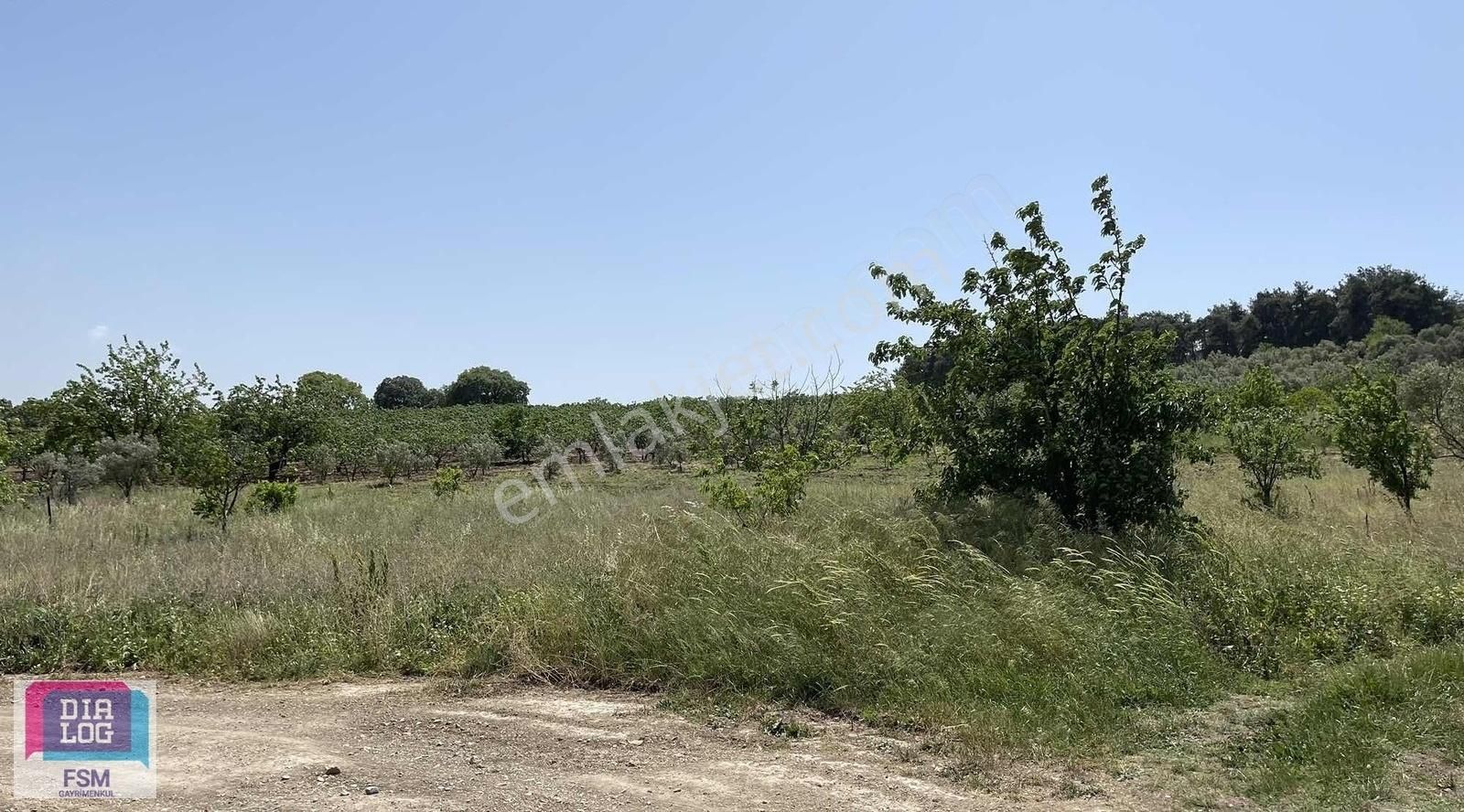 Osmangazi Aksungur'da Satılık Tarla - Görsel 8