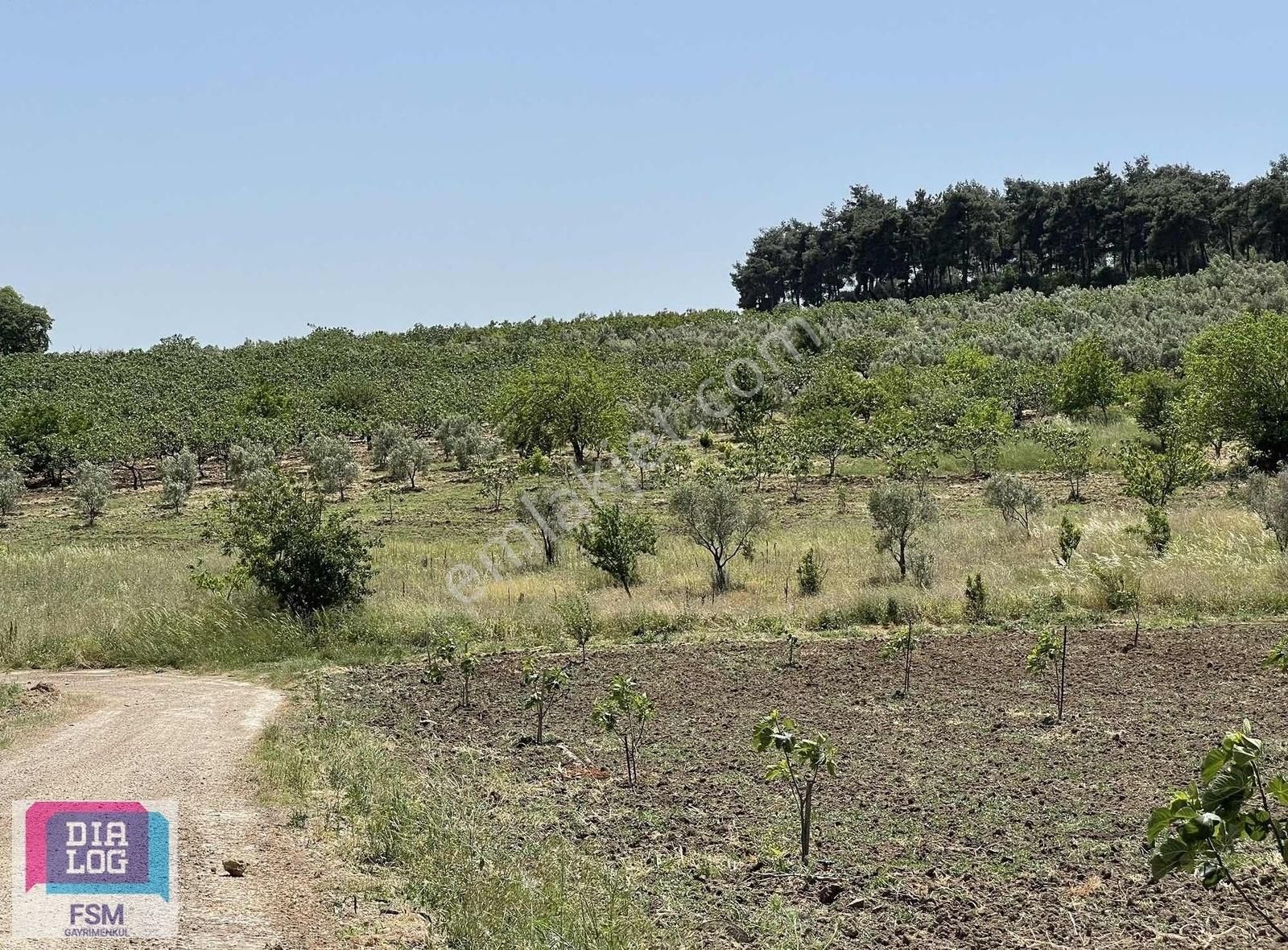 Osmangazi Aksungur'da Satılık Tarla - Görsel 11