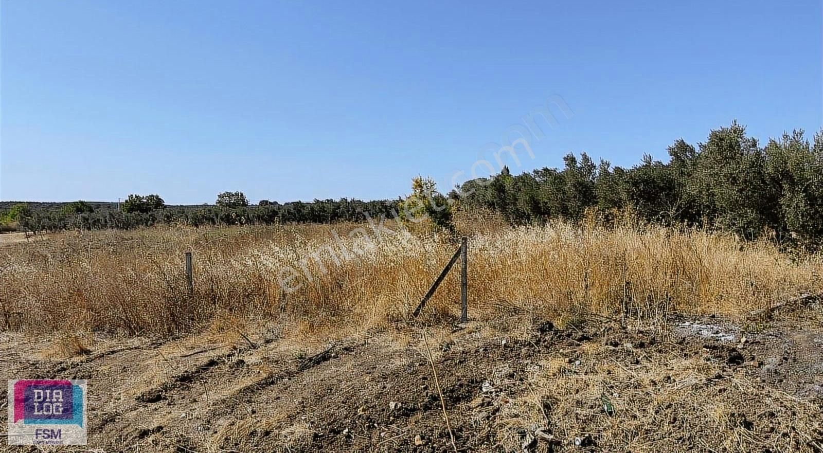 Mudanya Hançerli'de Yola Cephe Satılık Tarla - Görsel 8