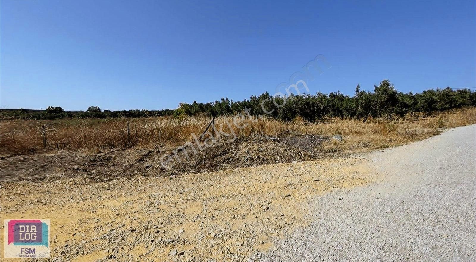 Mudanya Hançerli'de Yola Cephe Satılık Tarla - Görsel 5