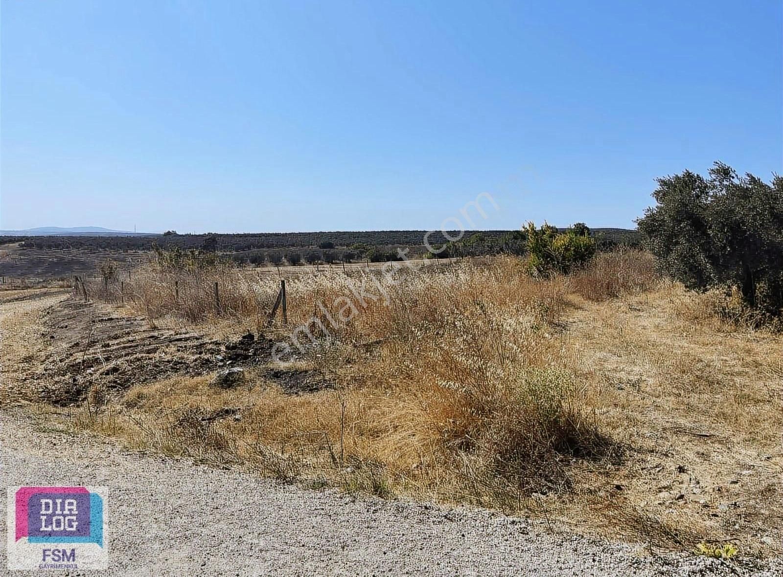 Mudanya Hançerli'de Yola Cephe Satılık Tarla - Görsel 12