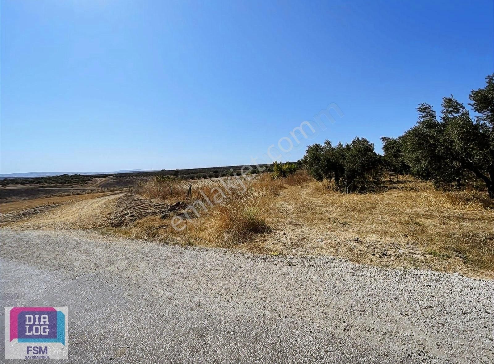 Mudanya Hançerli'de Yola Cephe Satılık Tarla - Görsel 18