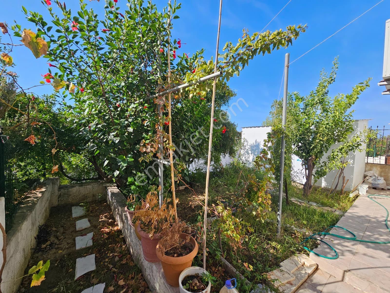 Muğla Bodrum Güllük Satılık Müstakil Yazlık - Görsel 22