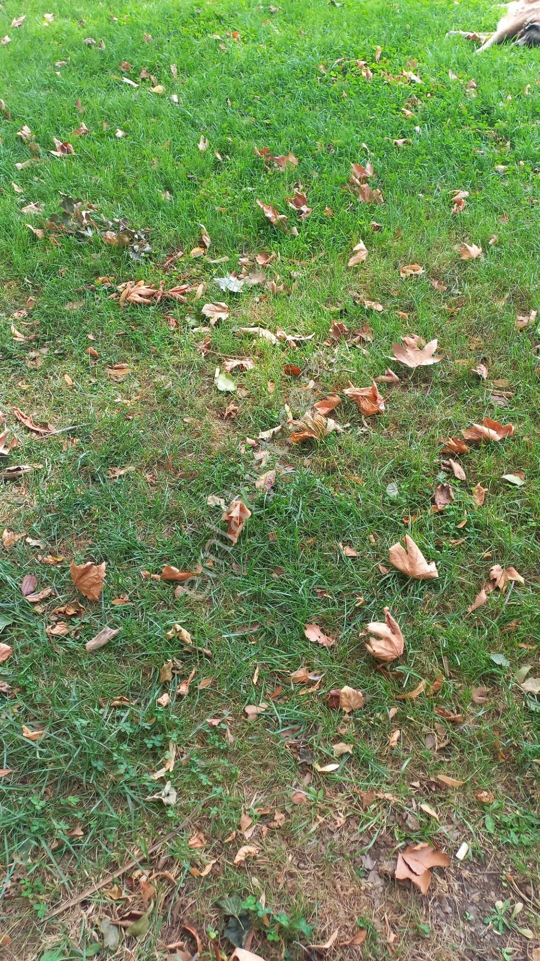 Silivri Akören De 590m Satılık Düşeş Kazandıracak Arsa No:382