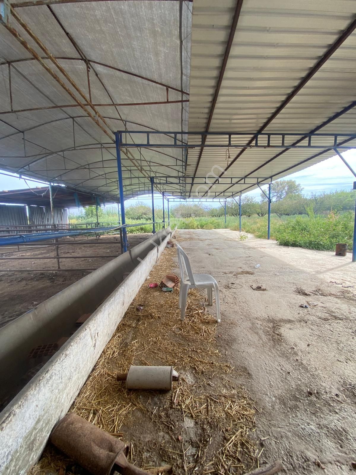 Ağabey Gayrimenkul Den 10. Mıntıkada Satılık Çiftlik - Görsel 3