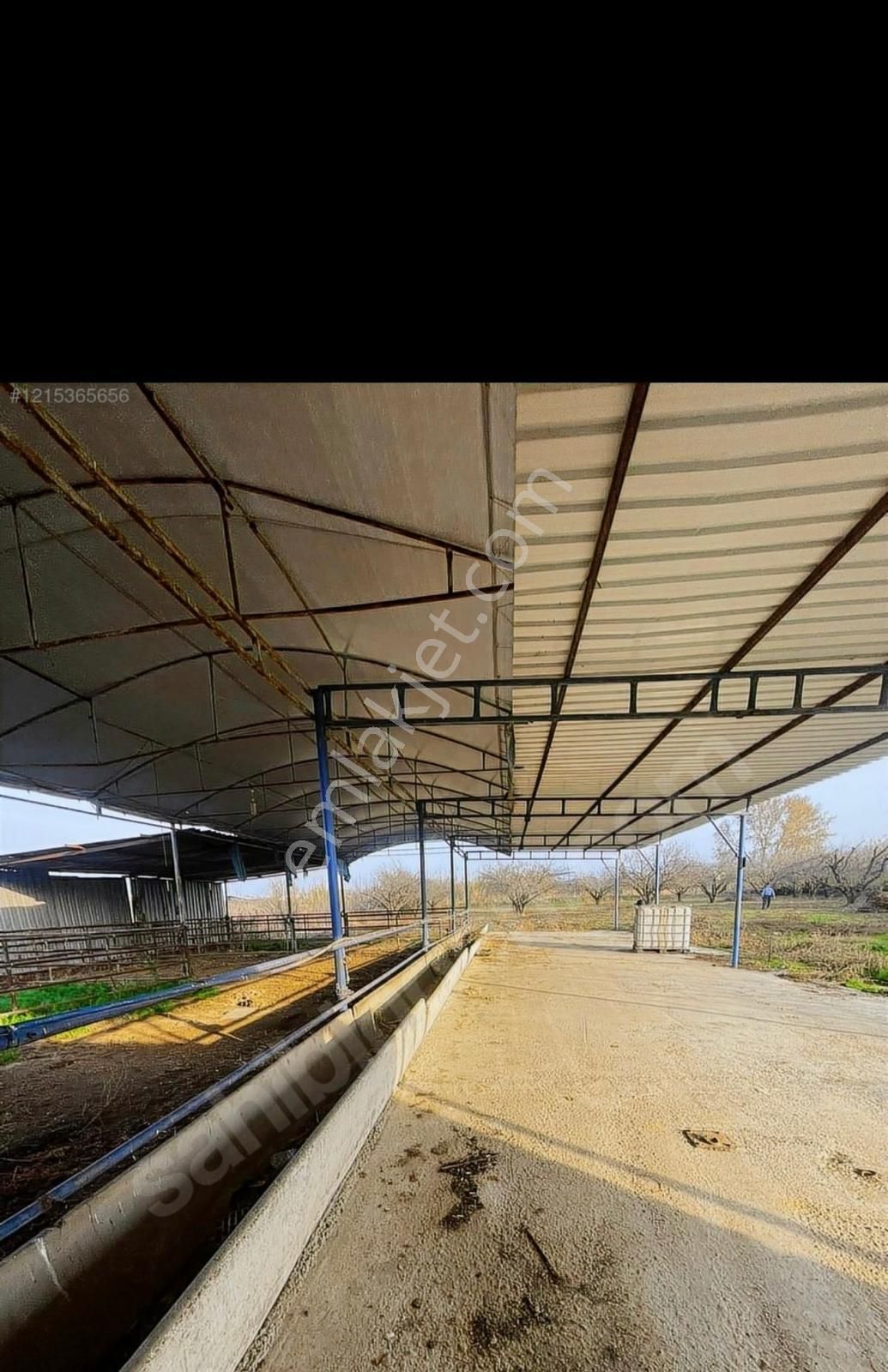 Ağabey Gayrimenkul Den 10. Mıntıkada Satılık Çiftlik - Görsel 17