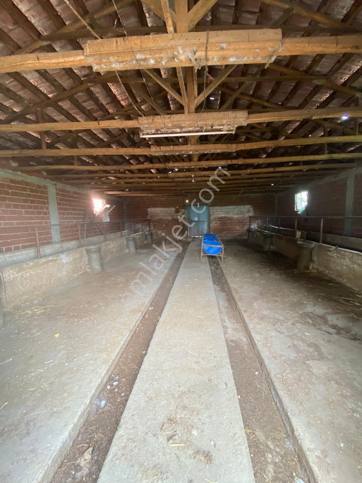 Ağabey Gayrimenkul Den 10. Mıntıkada Satılık Çiftlik - Görsel 4