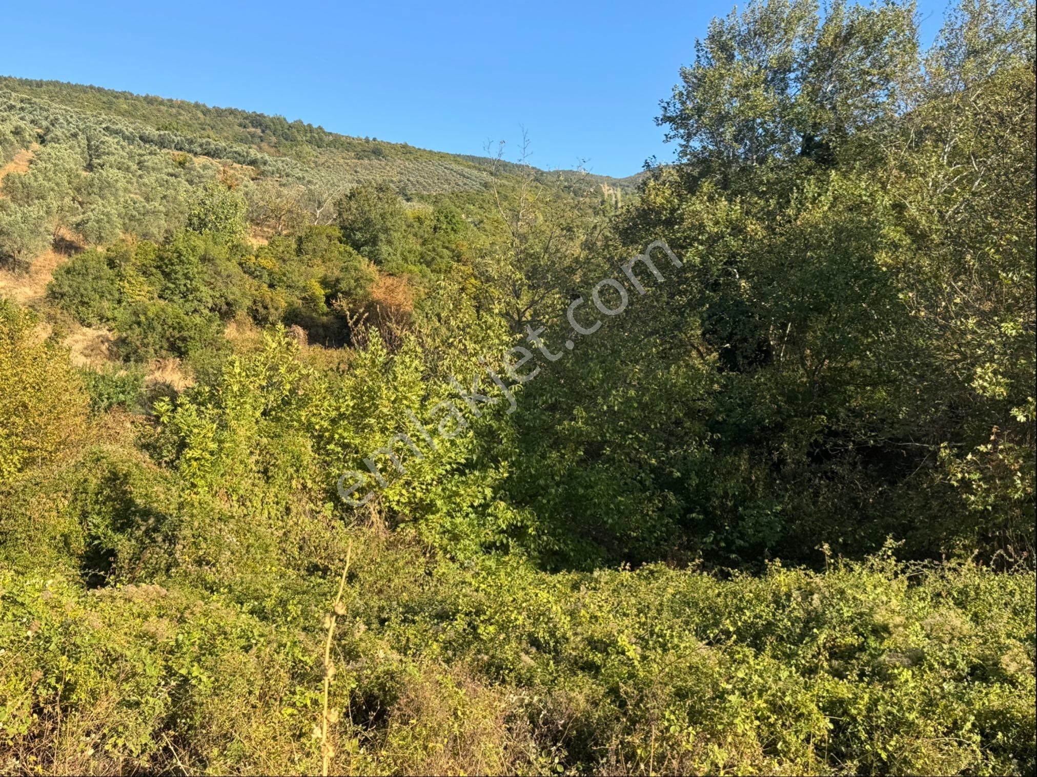 Kumla Konak Emlak”tan Satılık Arsa - Görsel 22