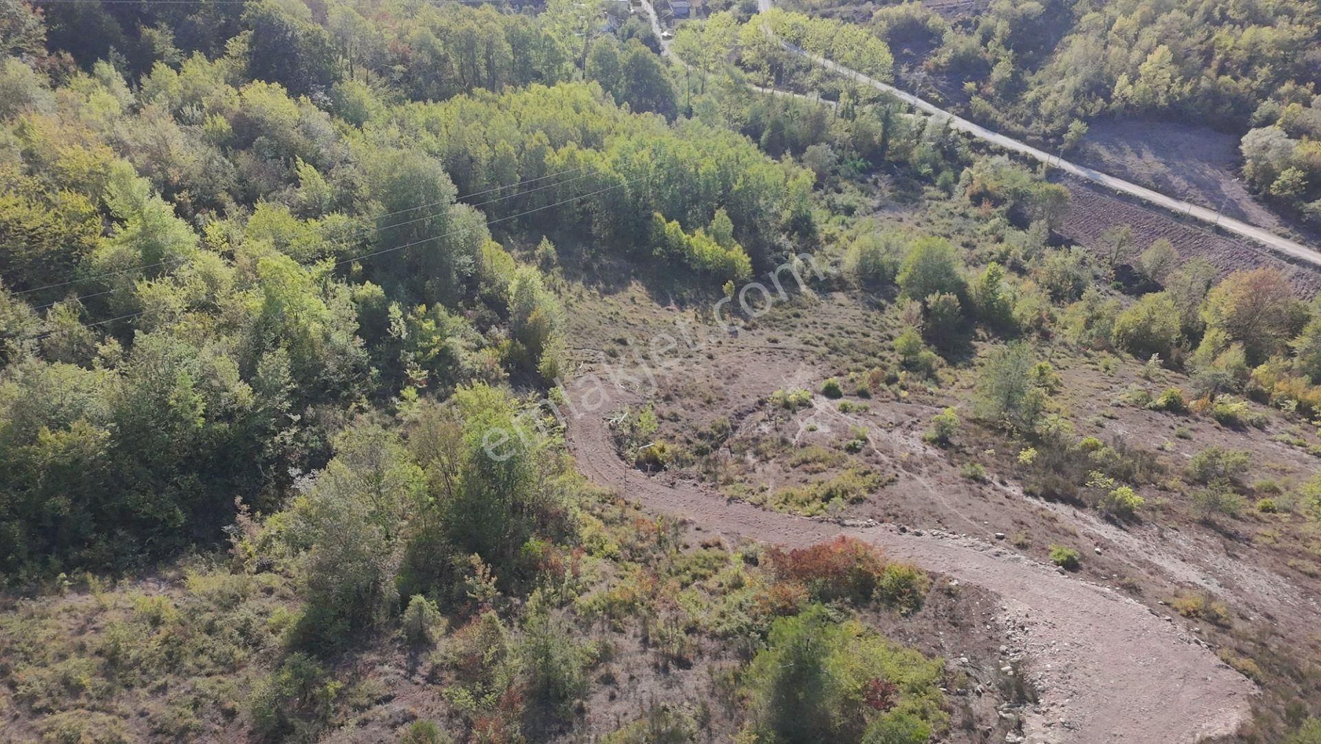 Cide Kırcı Mahallesinde 5.596 Metre Kare Arsa - Görsel 3