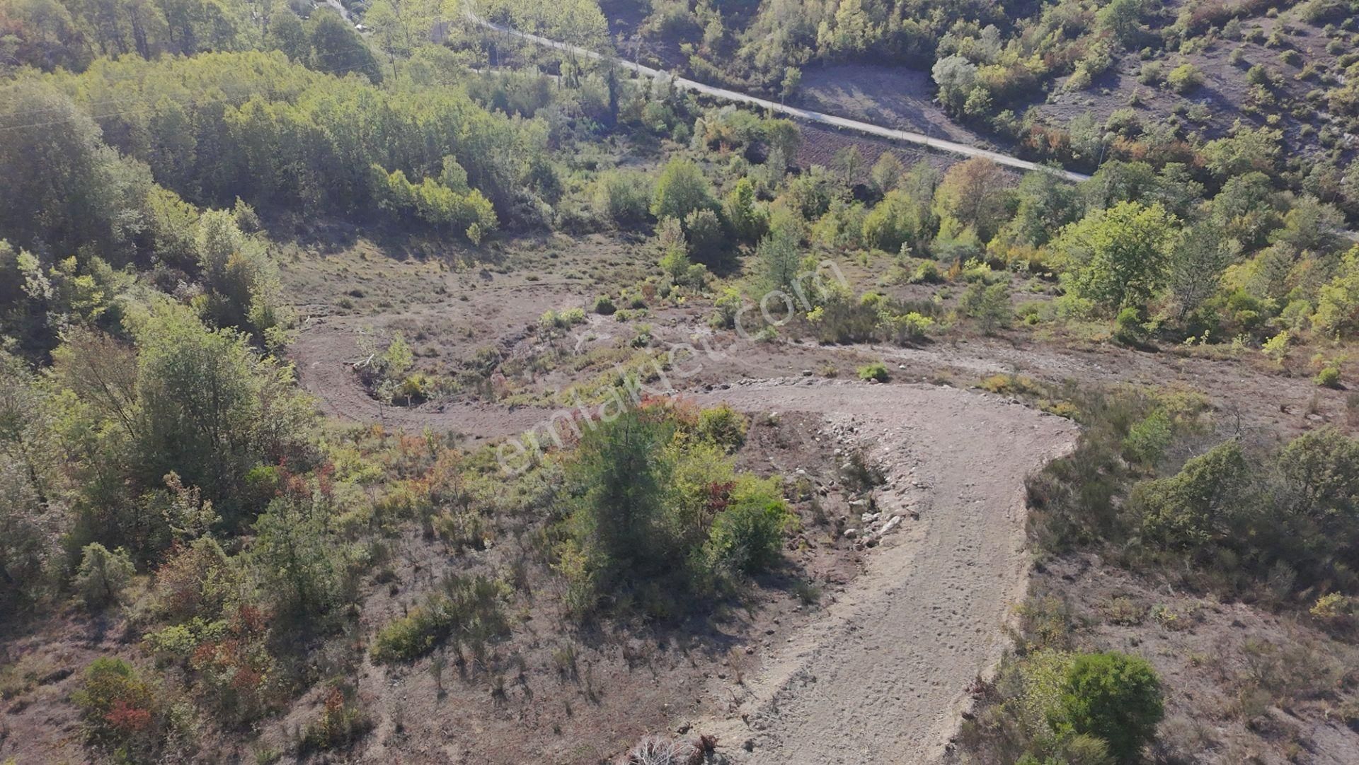 Cide Kırcı Mahallesinde 5.596 Metre Kare Arsa - Görsel 2