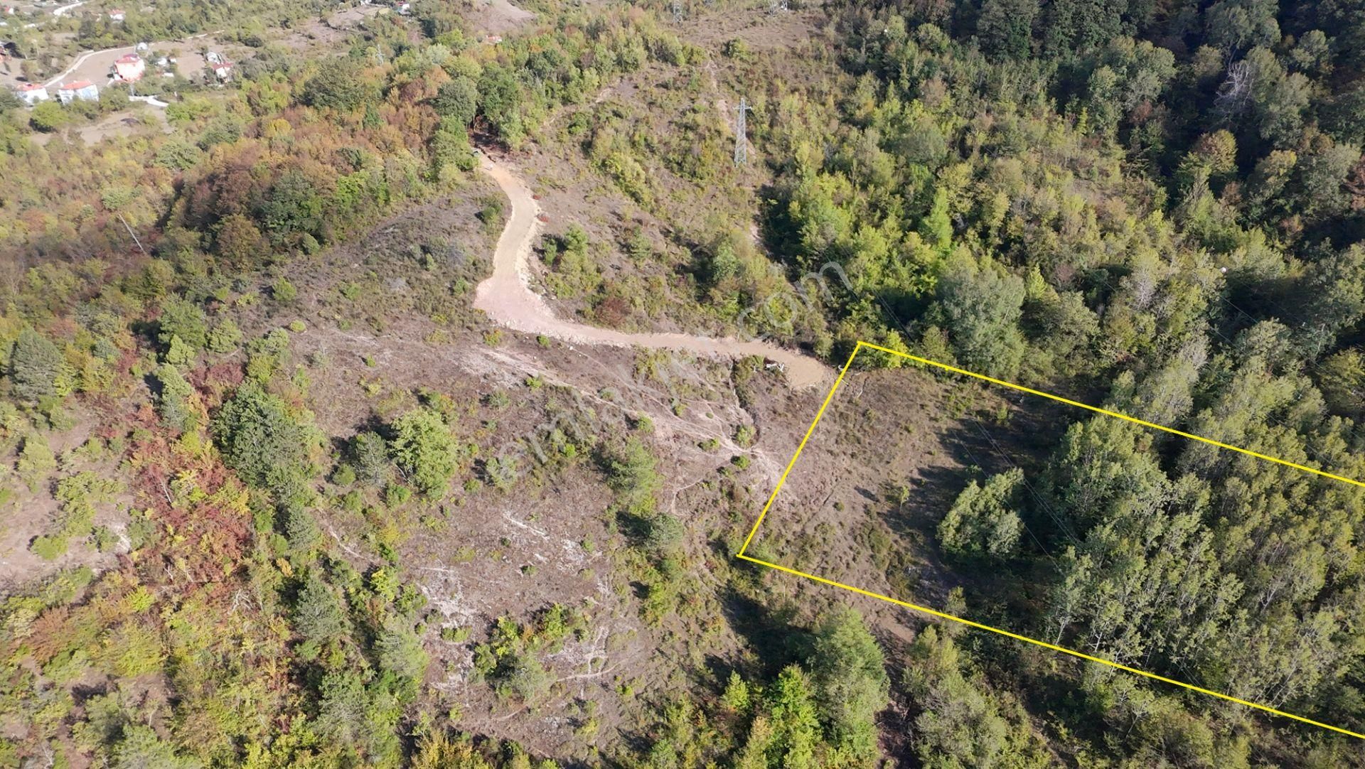 Cide Kırcı Mahallesinde 5.596 Metre Kare Arsa - Görsel 5