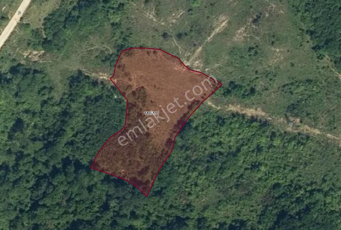 Cide Kırcı Mahallesinde 5.596 Metre Kare Arsa - Görsel 6