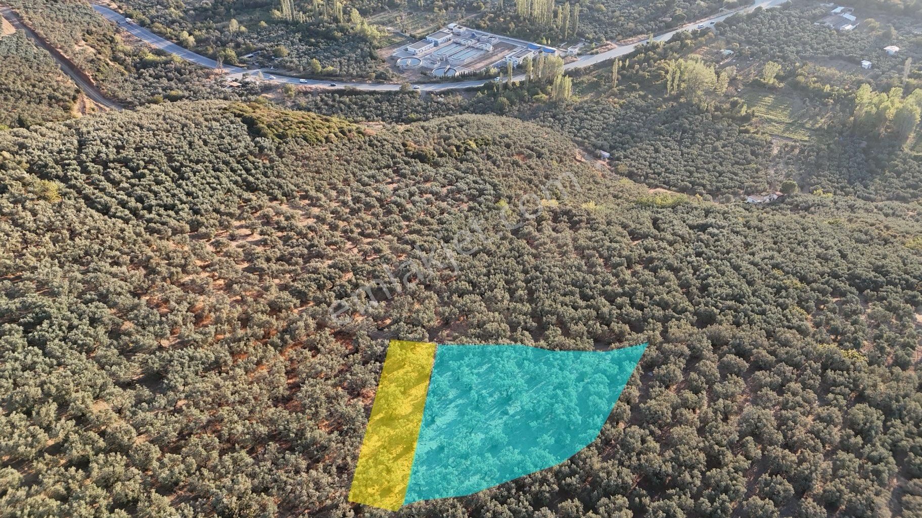 Kumla Konak Emlak”tan Satılık Körfez Manzaralı Zeytinlik - Görsel 3