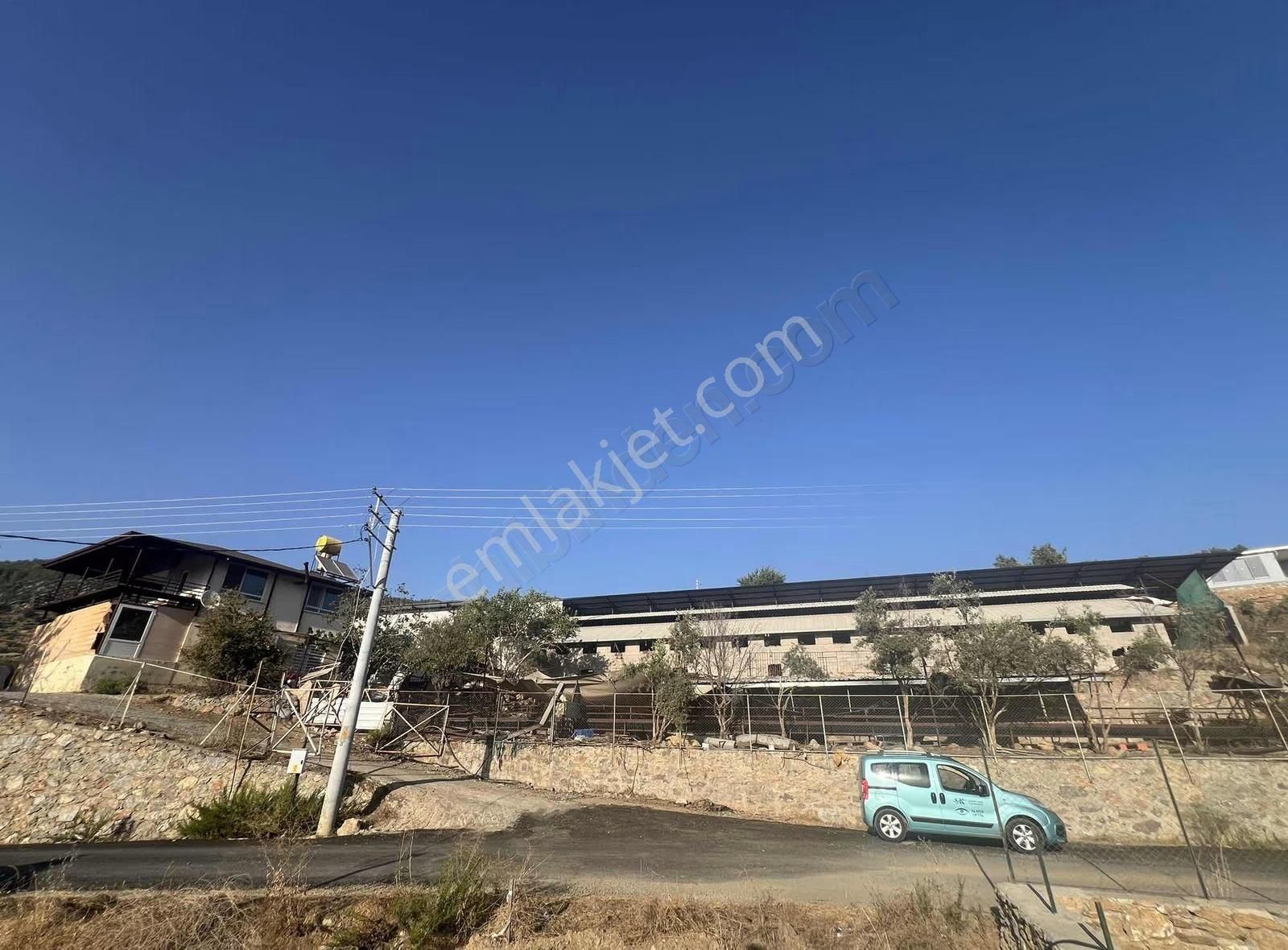 Alanya İmamlı Mah Satılık 2katlı Ev Ve Besimhane Tesisi - Görsel 11