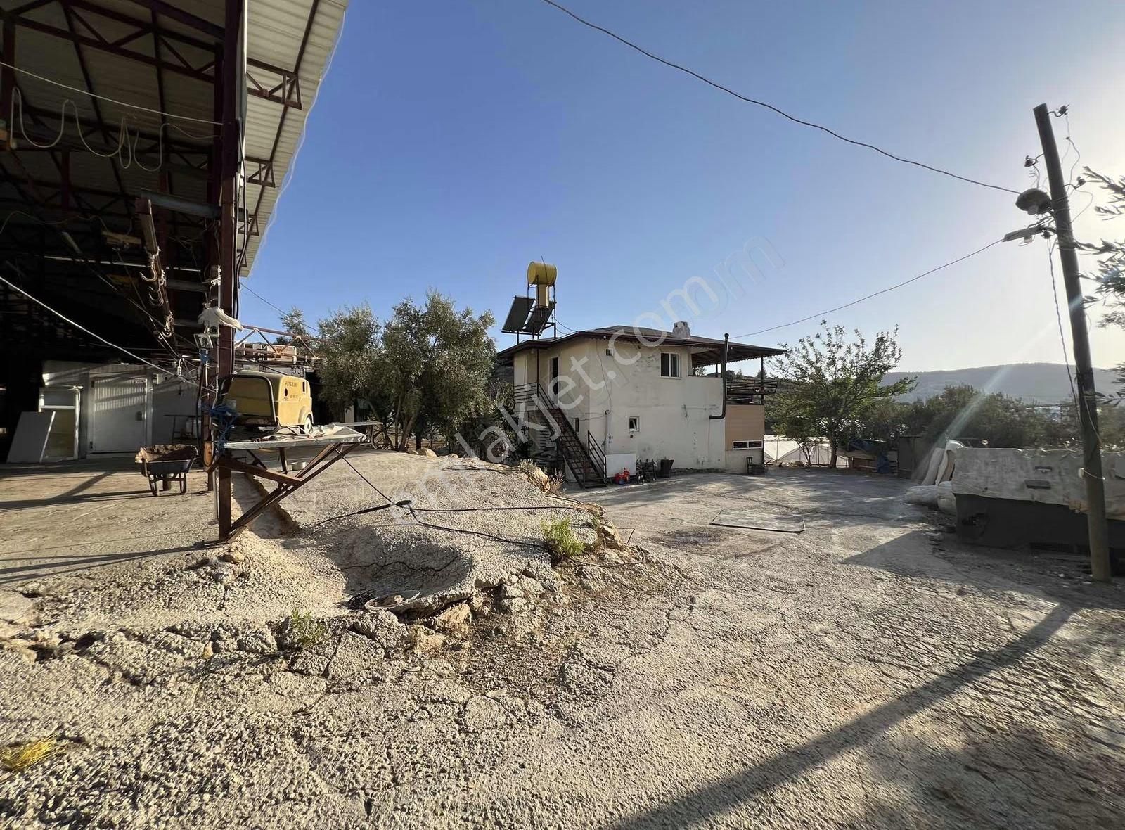 Alanya İmamlı Mah Satılık 2katlı Ev Ve Besimhane Tesisi - Görsel 14