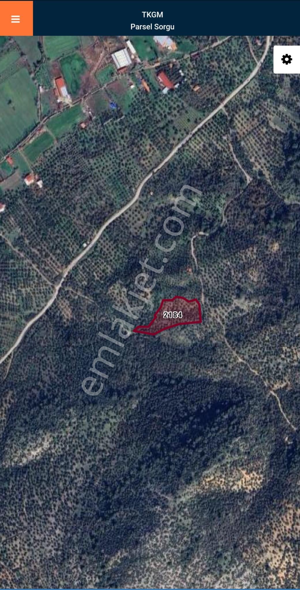 Golden Globy, Havran Büyükdere'de Satılık 8,6 Dönüm Zeytinlik - Görsel 9