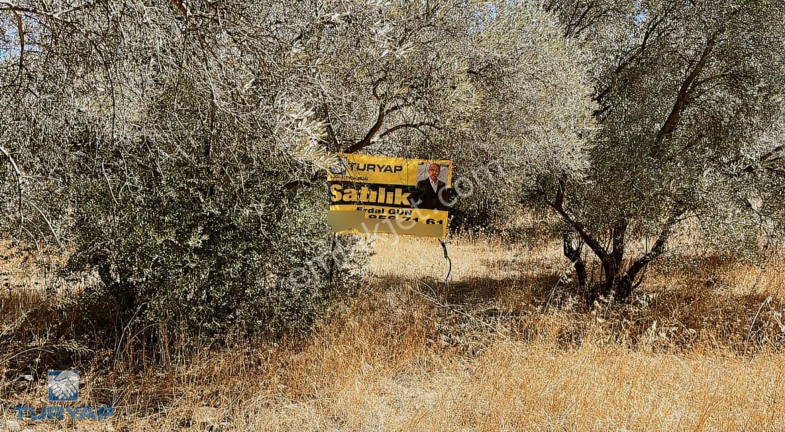 Torbalı Dirmil Mah.2788 M2 Tek Tapu Satılık Zeytinlik - Görsel 27
