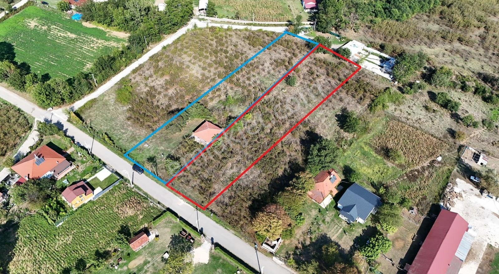 Hendek Hüseyinşeyh Köyünda Tamamı İmarlı Düz Harika Arazi