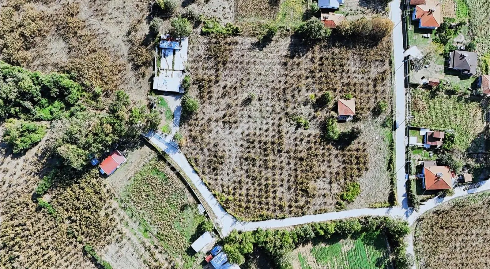 Hendek Hüseyinşeyh Köyünda Tamamı İmarlı Düz Harika Arazi - Görsel 4