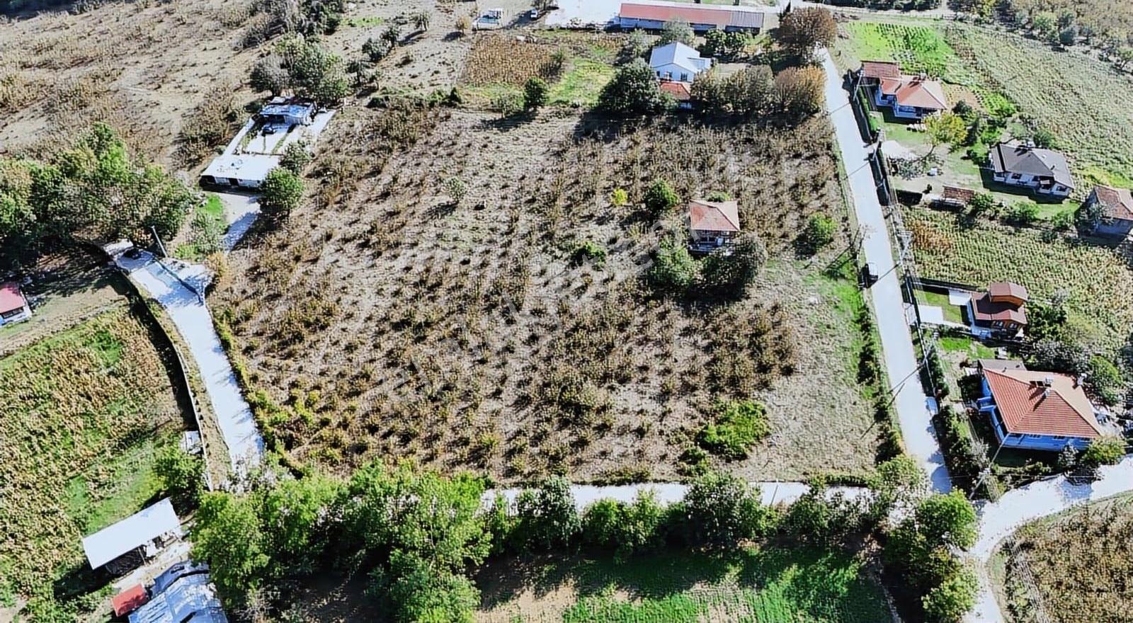 Hendek Hüseyinşeyh Köyünde Harika Konumda İmarlı Arazi - Görsel 8
