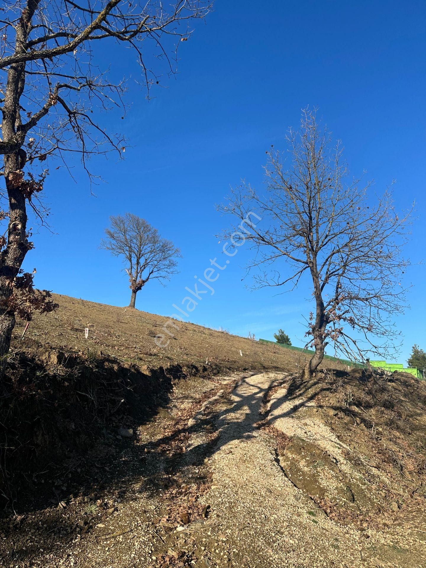 Bursa Kestel Kayacık Satılık 200m2 Hobi Bahçesi 180.000 - Görsel 2