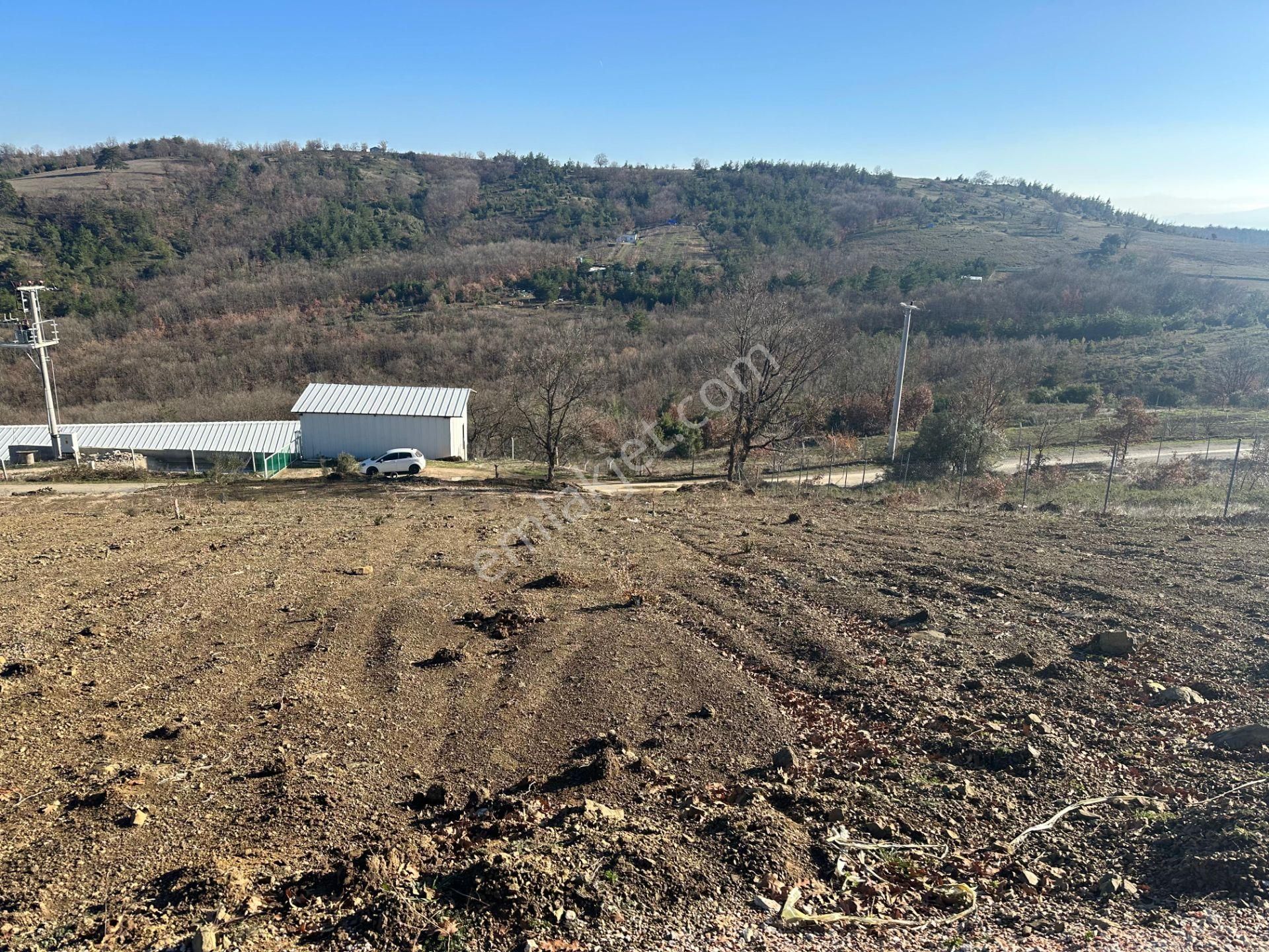 Bursa Kestel Kayacık Satılık 200m2 Hobi Bahçesi 180.000 - Görsel 9