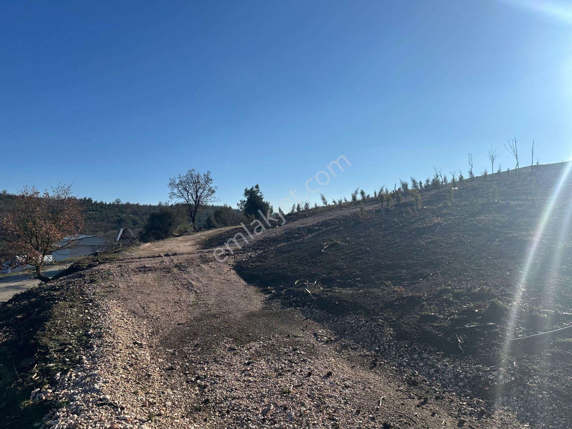 Bursa Kestel Kayacık Satılık 200m2 Hobi Bahçesi 180.000 - Görsel 10