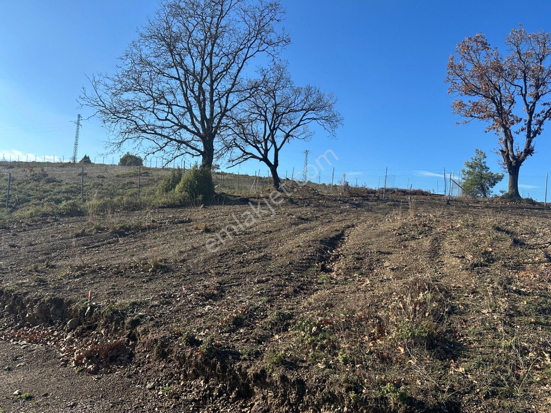 Bursa Kestel Kayacık Satılık 200m2 Hobi Bahçesi 180.000 - Görsel 8