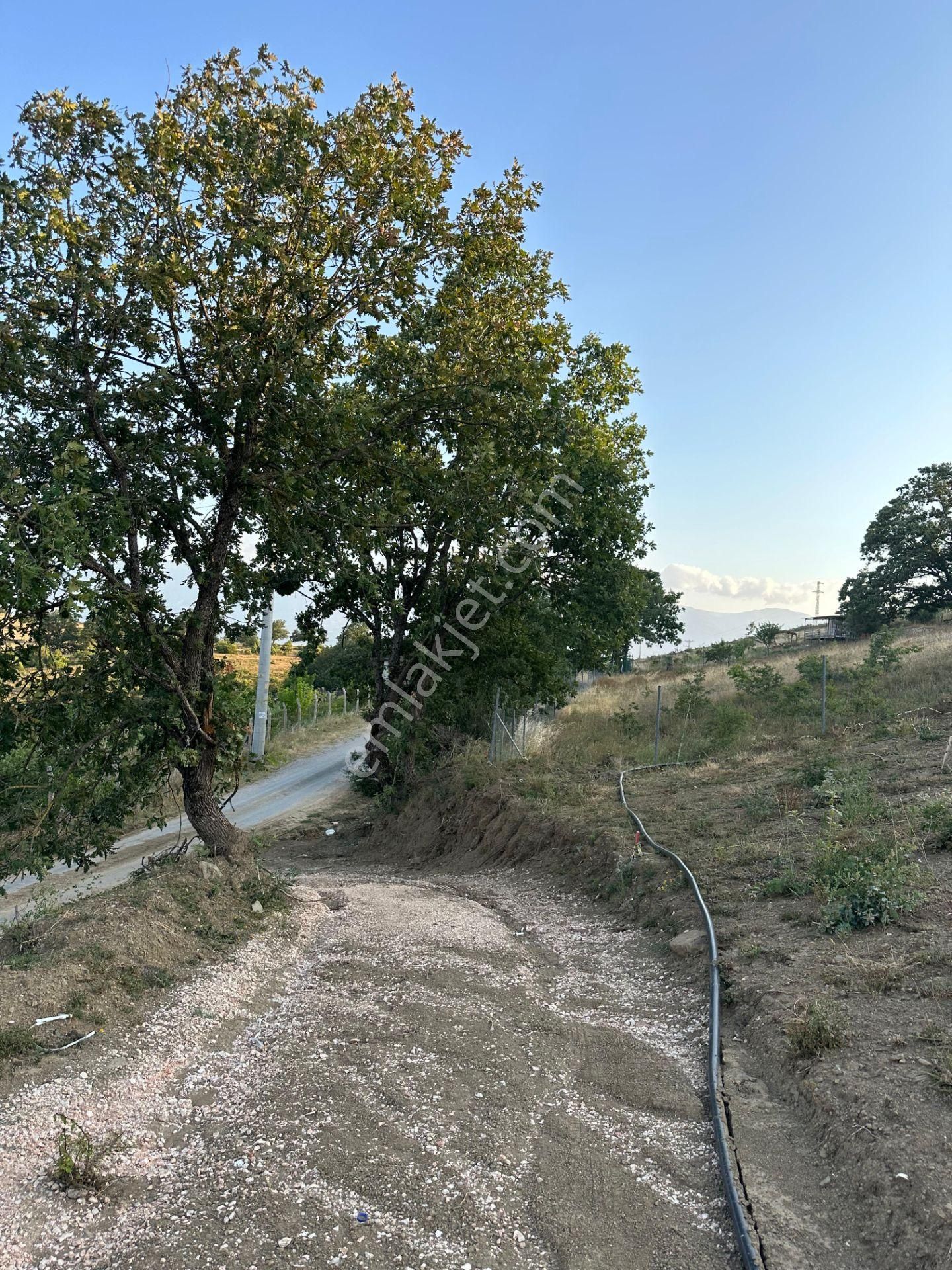 Bursa Kestel Kayacık Satılık 200m2 Hobi Bahçesi 180.000 - Görsel 13