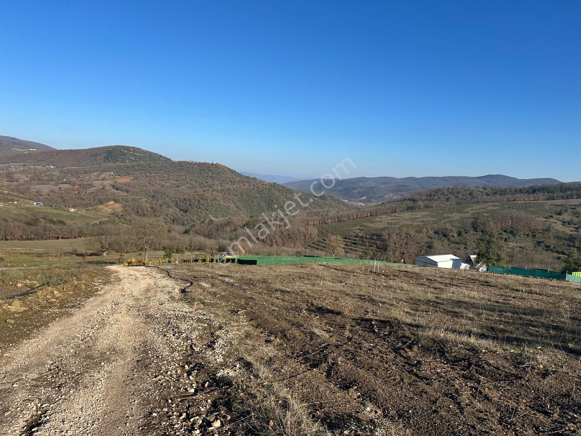 Bursa Kestel Kayacık Satılık 200m2 Hobi Bahçesi 180.000 - Görsel 6