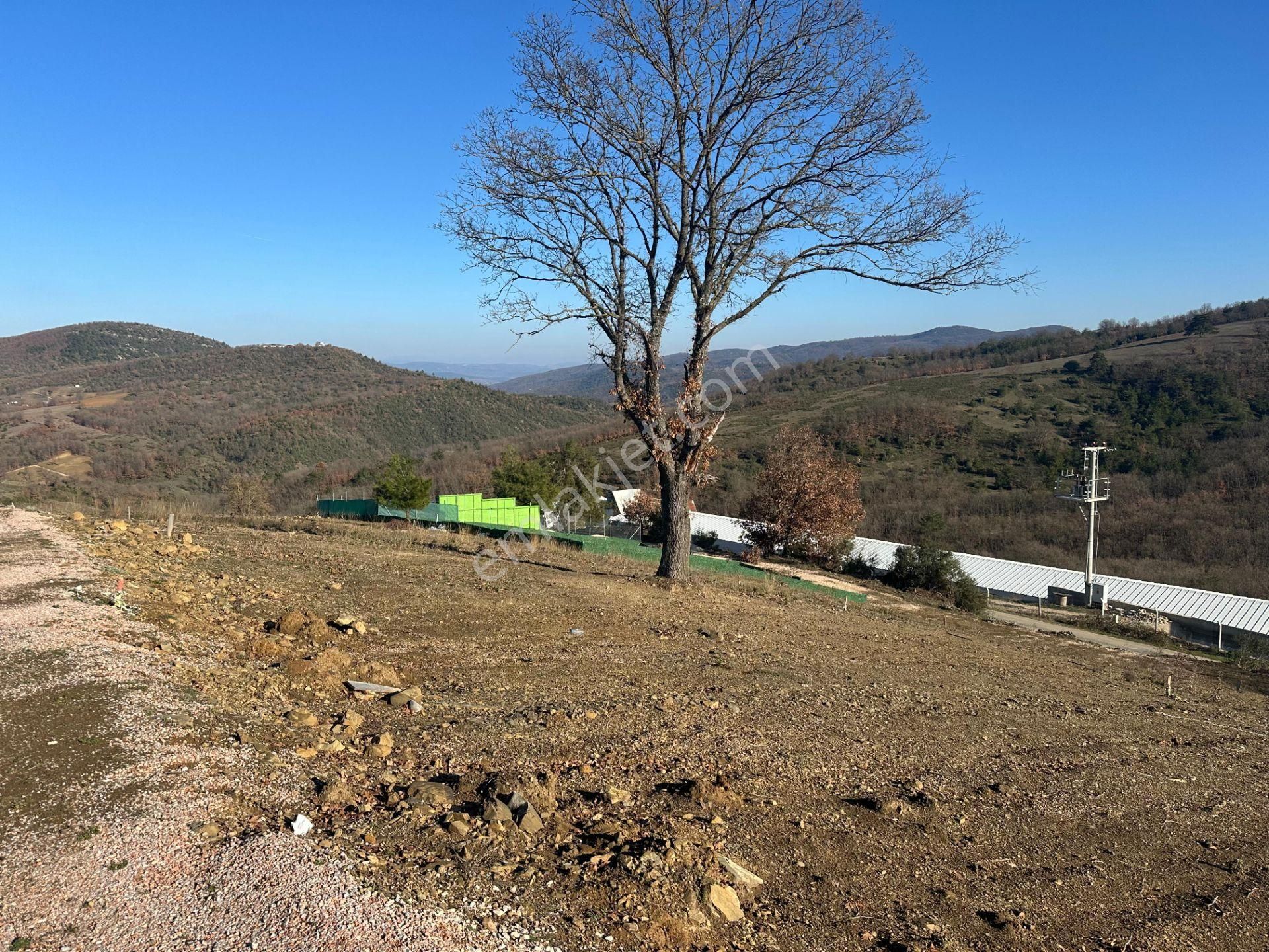 Bursa Kestel Kayacık Satılık 200m2 Hobi Bahçesi 180.000 - Görsel 12