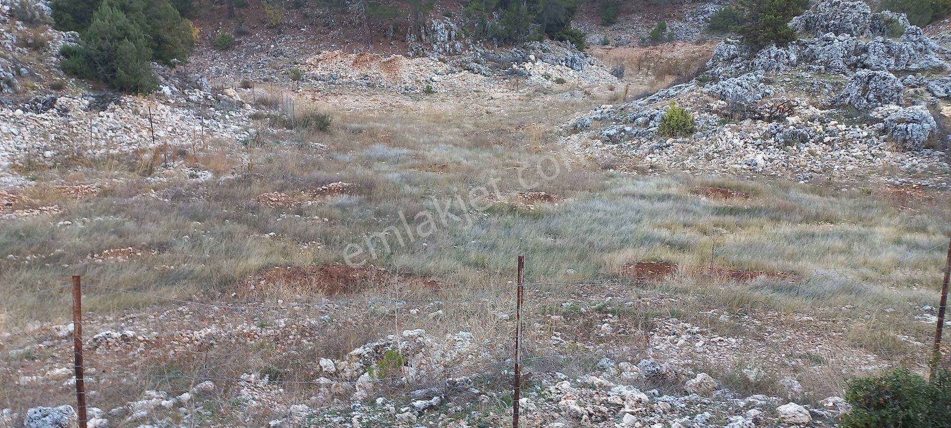 Pembecik Karagöl Yaylasında 4450 M² Bahçe - Görsel 3