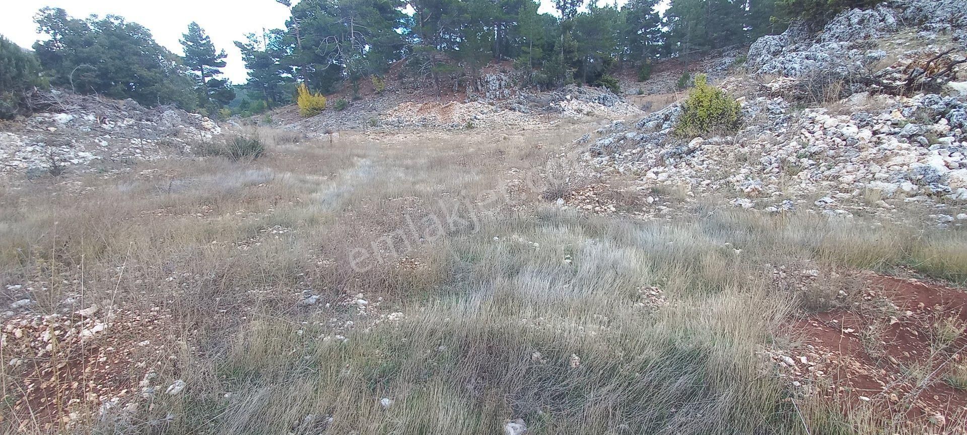 Pembecik Karagöl Yaylasında 4450 M² Bahçe - Görsel 5