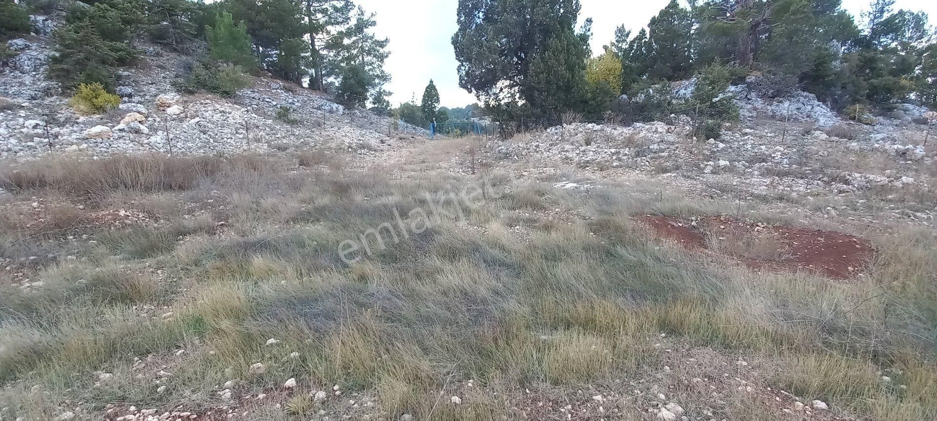 Pembecik Karagöl Yaylasında 4450 M² Bahçe - Görsel 7