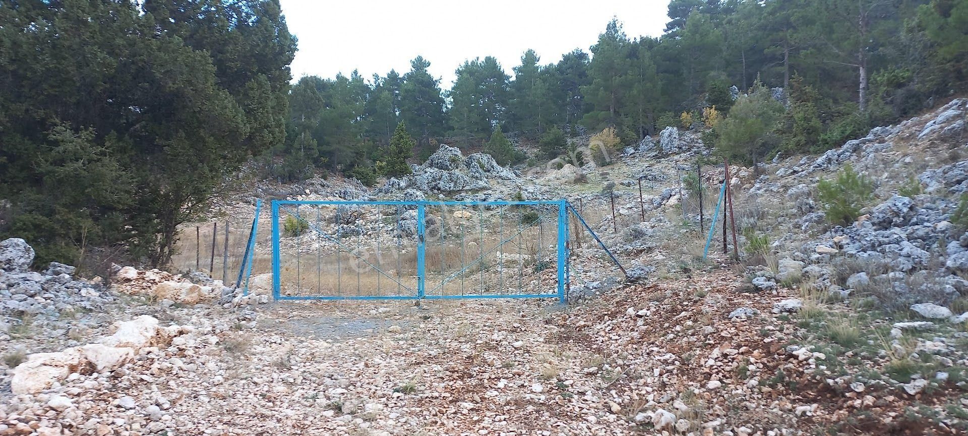 Pembecik Karagöl Yaylasında 4450 M² Bahçe