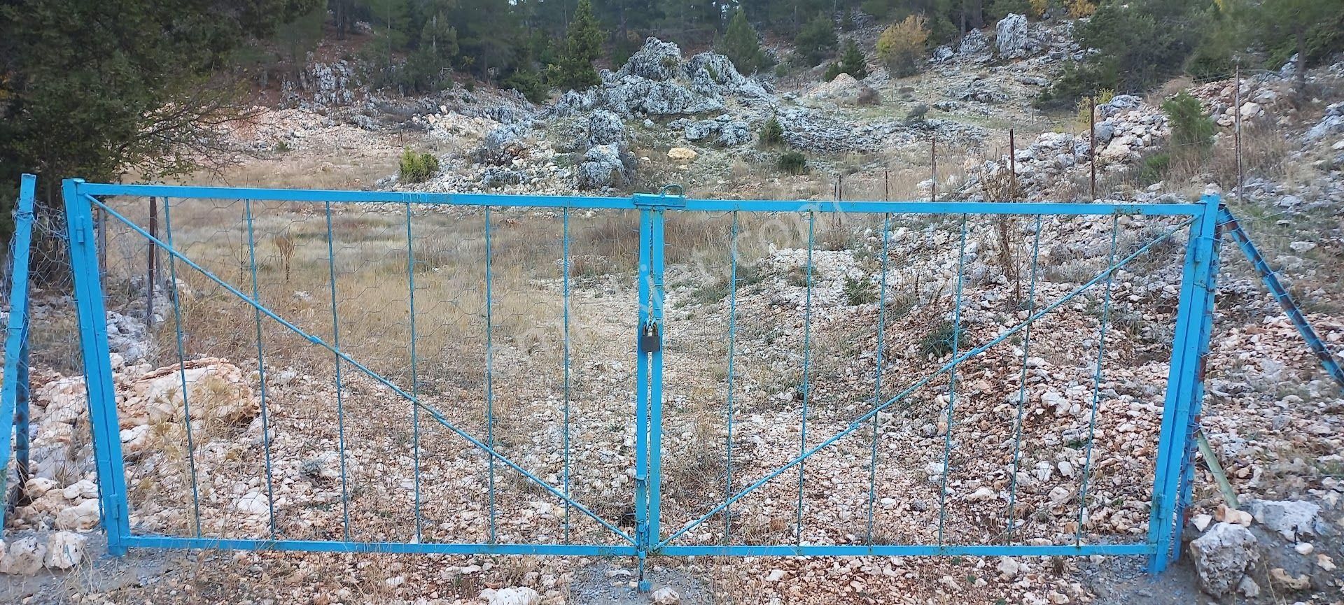 Pembecik Karagöl Yaylasında 4450 M² Bahçe - Görsel 8