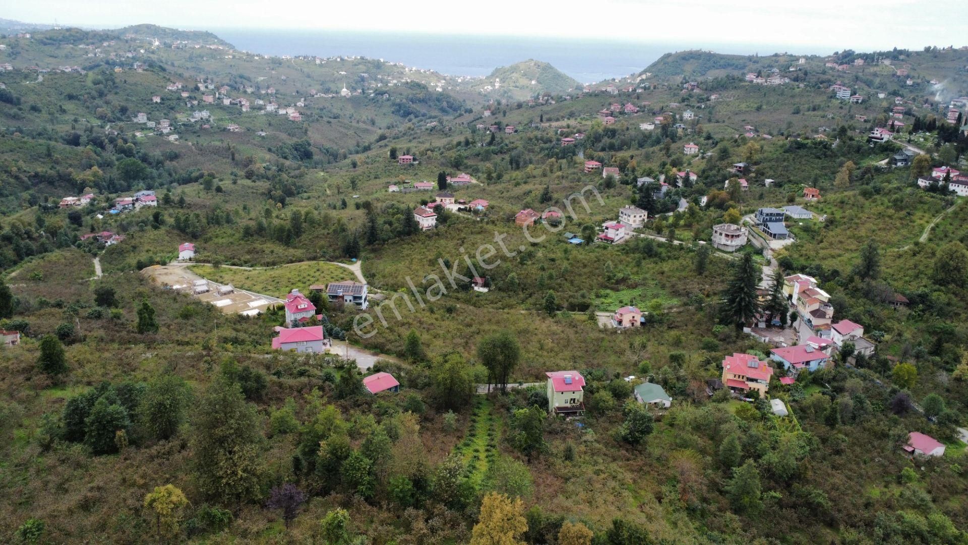 Trabzon Arsin'de Satılık Arazi - Görsel 25