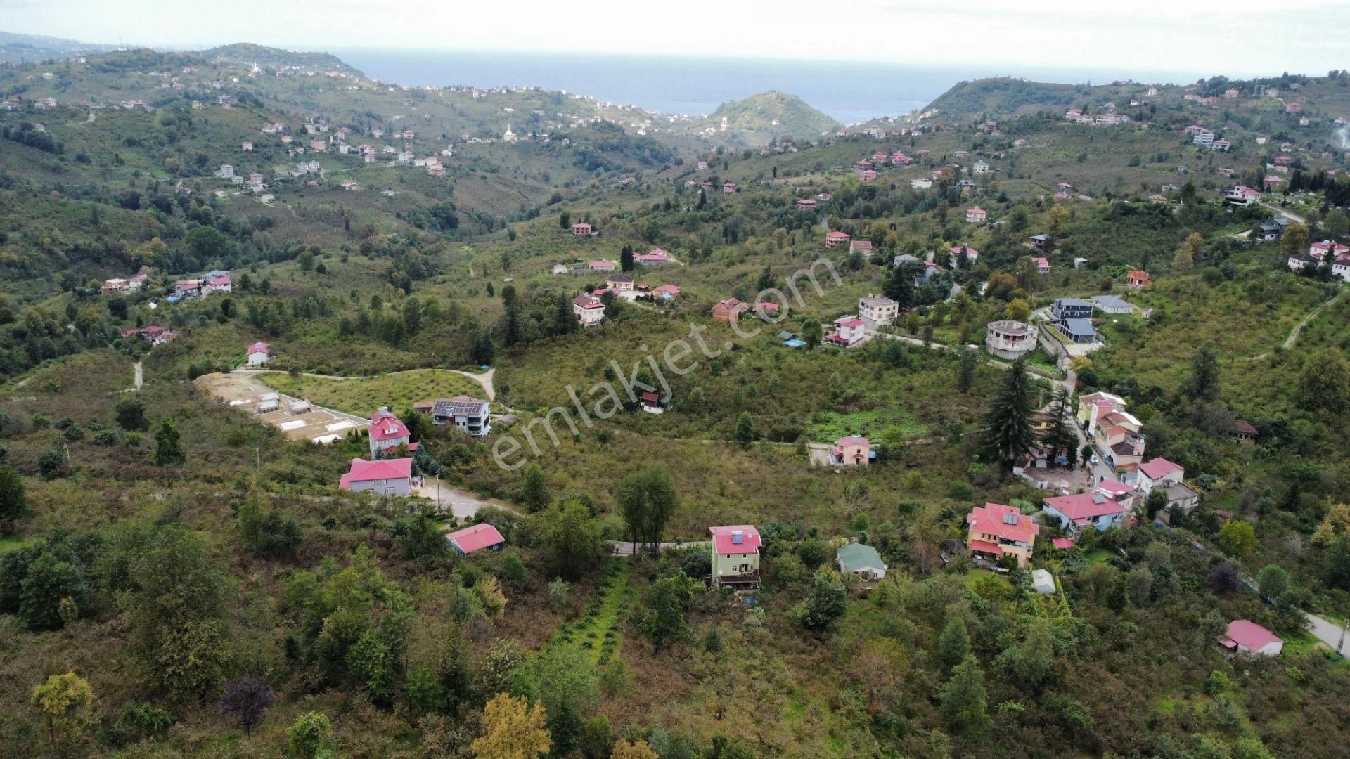 Trabzon Arsin'de Satılık Arazi - Görsel 24